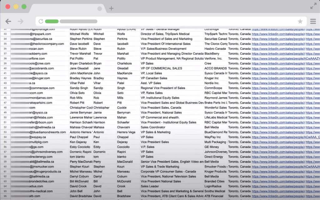 LInkedIn Leads In Spreadsheet and ready to import into Zoho CRM
